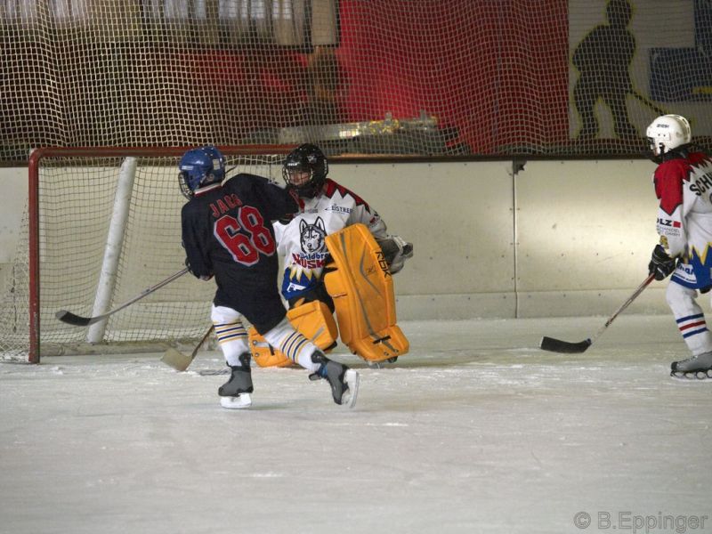 Normal BNL 2008 11 22 09 15 44