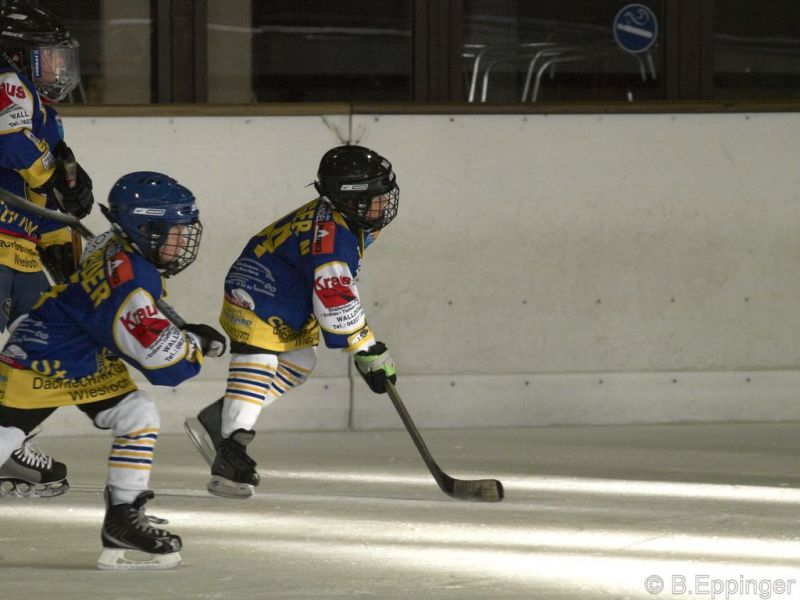 Normal BNL 2008 11 22 09 56 26