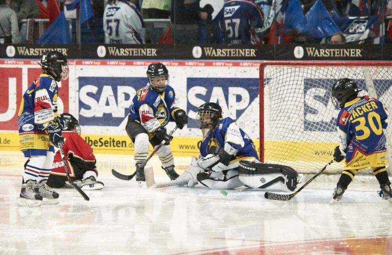 Normal Adler 27 02 2011 112