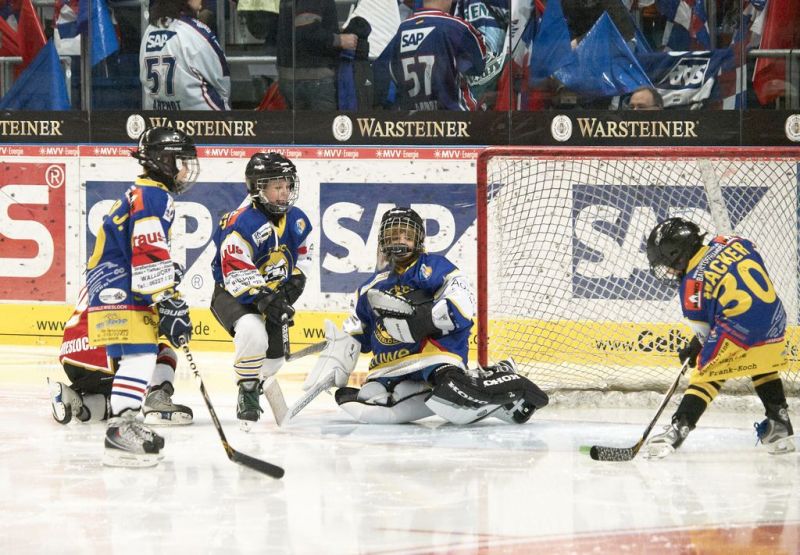 Normal Adler 27 02 2011 113