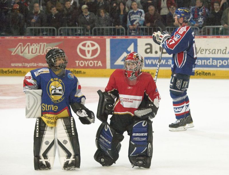 Normal Adler 27 02 2011 144