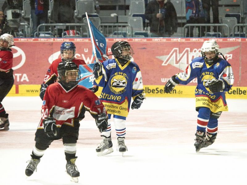 Normal Adler 27 02 2011 149